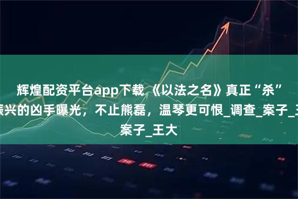 辉煌配资平台app下载 《以法之名》真正“杀”乔振兴的凶手曝光，不止熊磊，温琴更可恨_调查_案子_王大