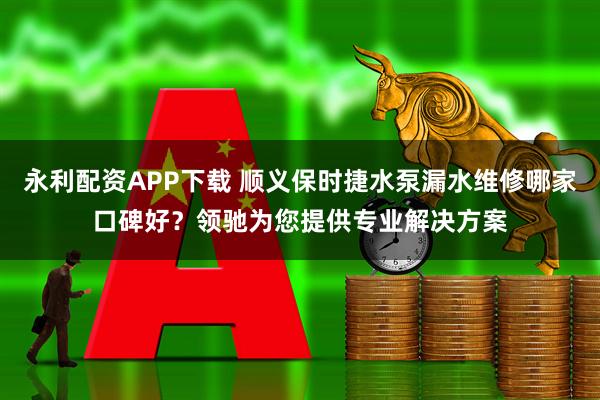 永利配资APP下载 顺义保时捷水泵漏水维修哪家口碑好?领驰为您提供专业解决方案