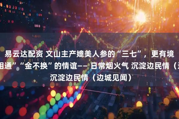 易云达配资 文山主产媲美人参的“三七”，更有境内外“心相通”“金不换”的情谊—— 日常烟火气 沉淀边民情（边城见闻）